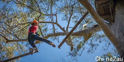 high-ropes-adventure.jpg,0