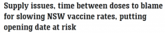 新州疫苗接种速度放缓，恐影响“解封”计划！