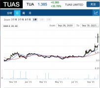 电信公司TUAS发布年度报告，股价飙升35%