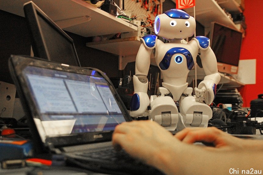 一个Nao机器人看着一个学生在笔记本电脑上打字。