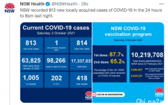 新州新增813例社区传播！10名病亡者中6人已打疫