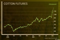没有了中国以后：澳洲棉价格涨到10年来最高