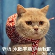 莫纳什发邮件细节暗示，疑似返澳将近？（组图