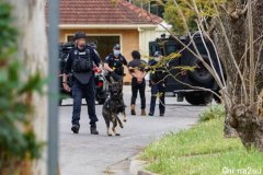 经过数小时谈判，南澳警方逮捕了捅刀枪击案嫌