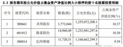 “成长一哥”刘格菘持仓曝光，剑指光伏、新能