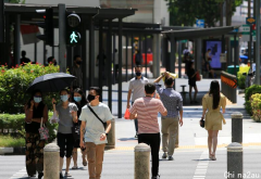 新加坡疫情反扑之际，澳新免隔离旅游政策21日开