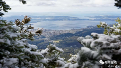 雨雪不停：塔州本周末将遇罕见春雪！降雪海拔