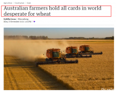 小麦价格创9年新高，澳洲谷物遭疯狂抢购，掌握
