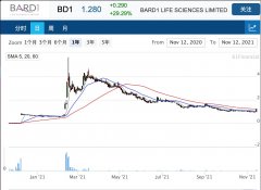 医药诊断公司BARD1获美国专利，盘中暴涨30%