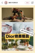 $140拿下Dior迪奥绝美限量复古餐具！送礼or自用尽