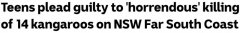 残忍杀害14只袋鼠，新州两名17岁少年悔恨落泪！