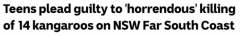 残忍！新州两名17岁青年杀害14只袋鼠！开车碾烂