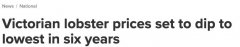 澳洲龙虾价格突然暴跌！6年最低，便宜到吃不完