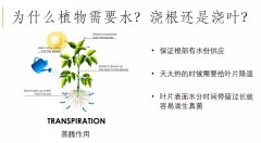 夏季花园救星！DIY浇灌系统，最便宜工具仅7刀，