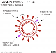 关于最新变异株Omicron，我们知道些什么？