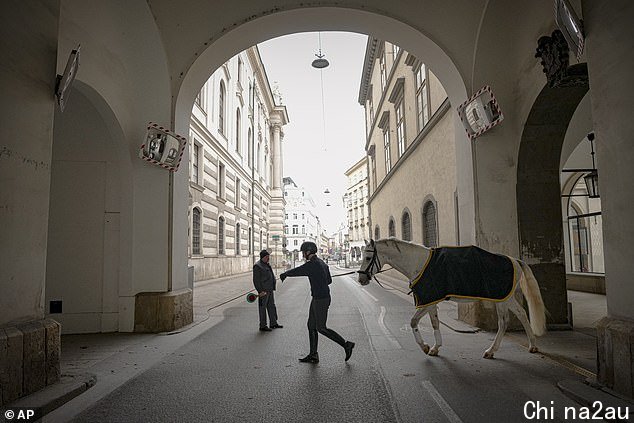 One EU country after another is going back into lockdown in the latest battle against Covid, with the continent on red alert as the bitter winter weather starts to bite (pictured, Lipizzaner horses go to training in Austria without any spectators as the country re-enters lockdown)