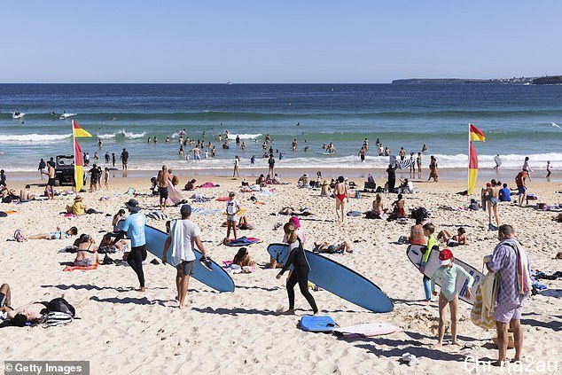 Professor Bryan WIlliams has warned Australia now faces a surge in Covid case numbers as restrictions are relaxed, borders open and families gather over Christmas (pictured, crowds of Sydneysiders enjoy the beach at Bondi after Covid restrictions were lifted)