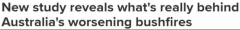 澳研究：山火罪魁祸首果然是它！专家警告：未