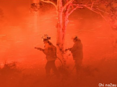 澳洲野火愈烧愈烈 研究：这是“压倒性因素”