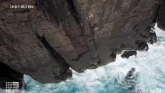 澳极限运动爱好者悬崖上走绳索，悬空走115米心