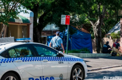 悉尼3岁男童在幼托中心附近被撞死! 警方称正在