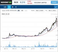 泡沫破灭？电池材料供应商Novonix股价狂挫33%