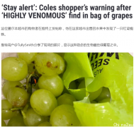 注意！Coles葡萄里发现毒蜘蛛！专家提醒：天气湿