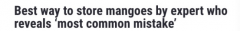 澳洲800万个芒果托盘将上架! 专家公布吃芒果技巧