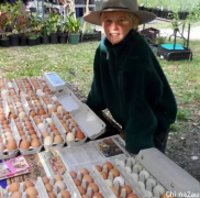 男孩9岁创业卖鸡蛋，12年后成为澳洲蛋蛋界一哥