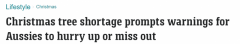 还没买圣诞树的澳人抓紧了！澳洲各地松树短缺