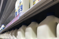 快要喝不起牛奶了？澳洲牛奶供需关系不平衡！