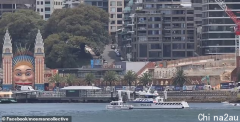 突发！澳洲男子从海港大桥坠海，水中浮现绿色