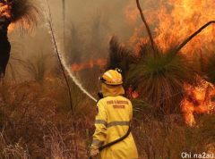 澳洲气温将大幅上升 或引发“灾难性”火灾