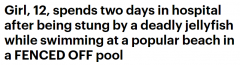 澳女孩游泳被致命水母蜇伤！剧烈疼痛持续数小