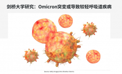 最新权威研究！O毒株只能导致轻症？！欧多国重