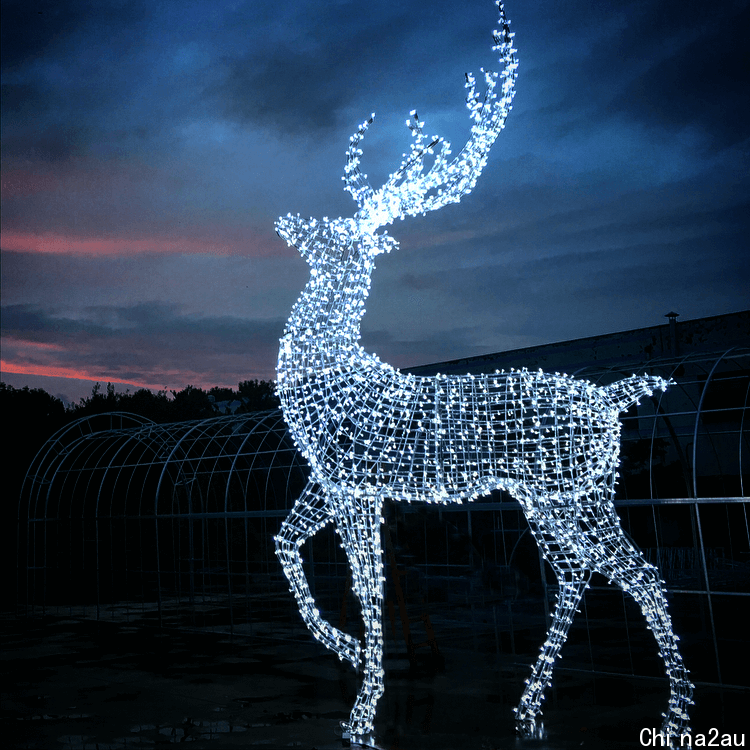 Deer Christmas lights (SHINE/Enchant) | Christmas lights, Outdoor christmas,  Vancouver christmas market