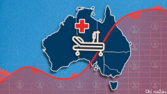 图解：新一轮疫情中澳洲新冠入院人数如何变化