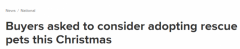 昆州RSPCA敦促圣诞买宠物者去收容所领养（组图）