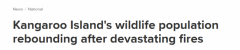 丛林大火后，澳袋鼠岛开始恢复生机！动物种群