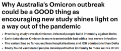 澳媒：澳洲爆发Omicron是好事，Omicron住院风险更低