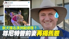 报复？《海王》女主给爱犬起了个名，和澳洲副