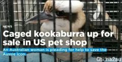 澳洲国宝鸟在美国被虐待了？没人能在它的笑声