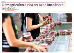 澳洲“农业签证”成“幌子”？推出3个月，无人