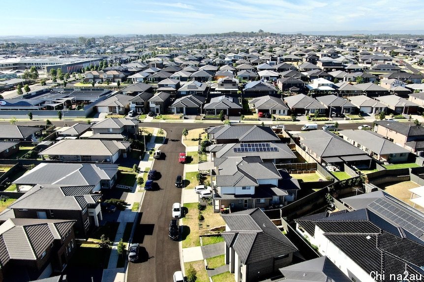 a skyline with houses