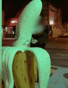 墨尔本大香蕉雕塑遭“斩首”，男子偷偷用钢锯