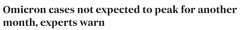 专家：澳洲Omicron病例还要暴增数周！预计2月才会
