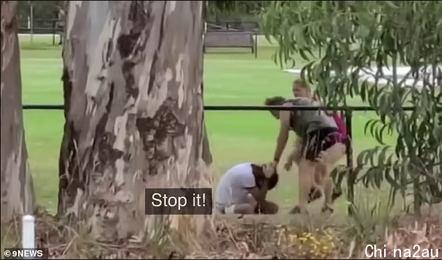 dewpogv.png,0