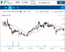 背景调查公司CV Check半年收入跃升84% 股价上涨1