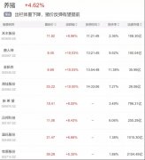 猪价单周跌10%，为什么猪肉股却涨停了？