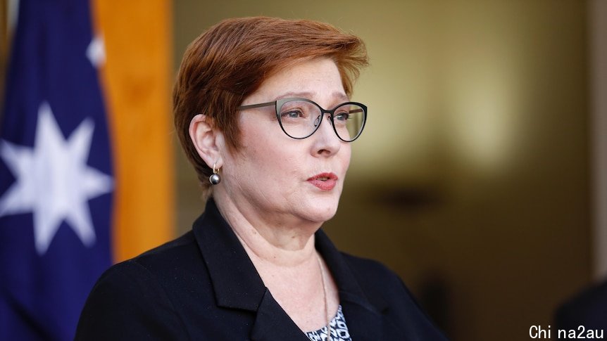 Payne speaks in front of an Australian flag, looking to right of frame.